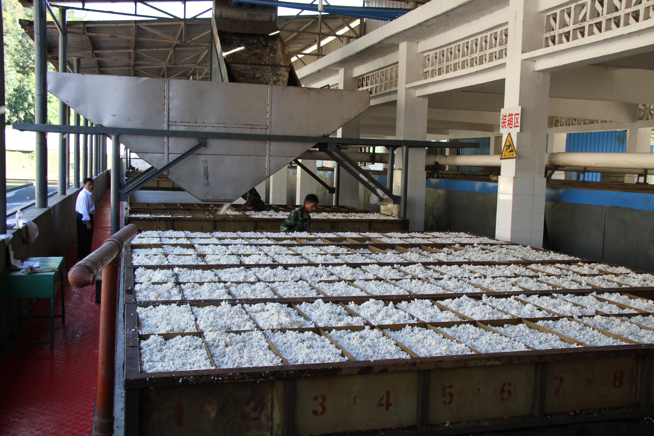 景阳橡胶公司鞋加工业务探析 技术创新与品质提升的融合之路